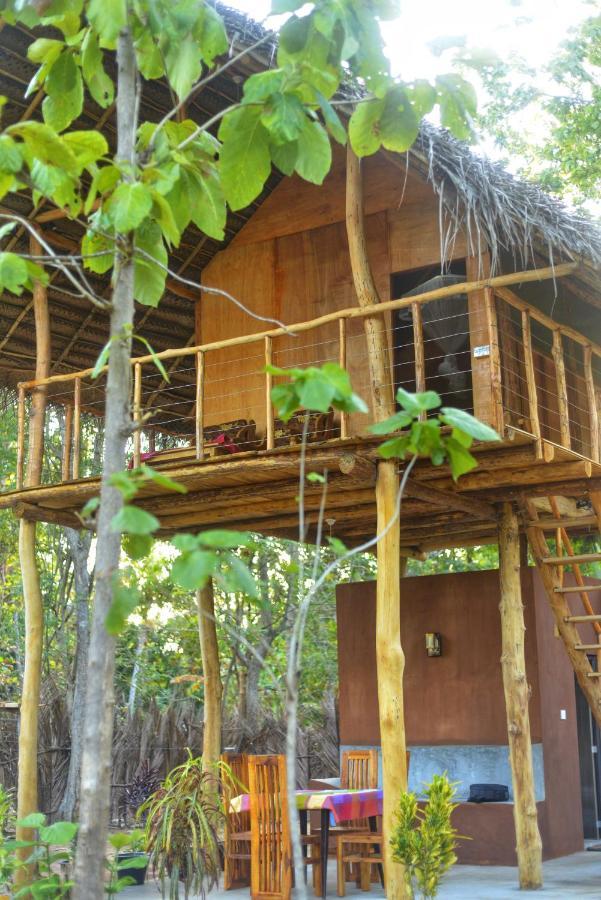 Appartement Pidurangala View Treehouse à Sigirîya Extérieur photo