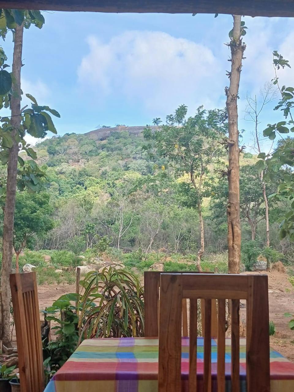 Appartement Pidurangala View Treehouse à Sigirîya Extérieur photo