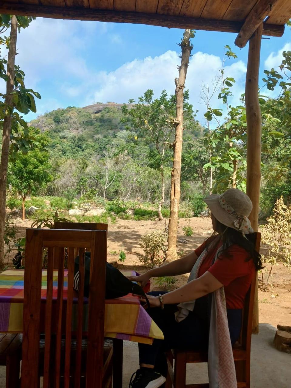 Appartement Pidurangala View Treehouse à Sigirîya Extérieur photo