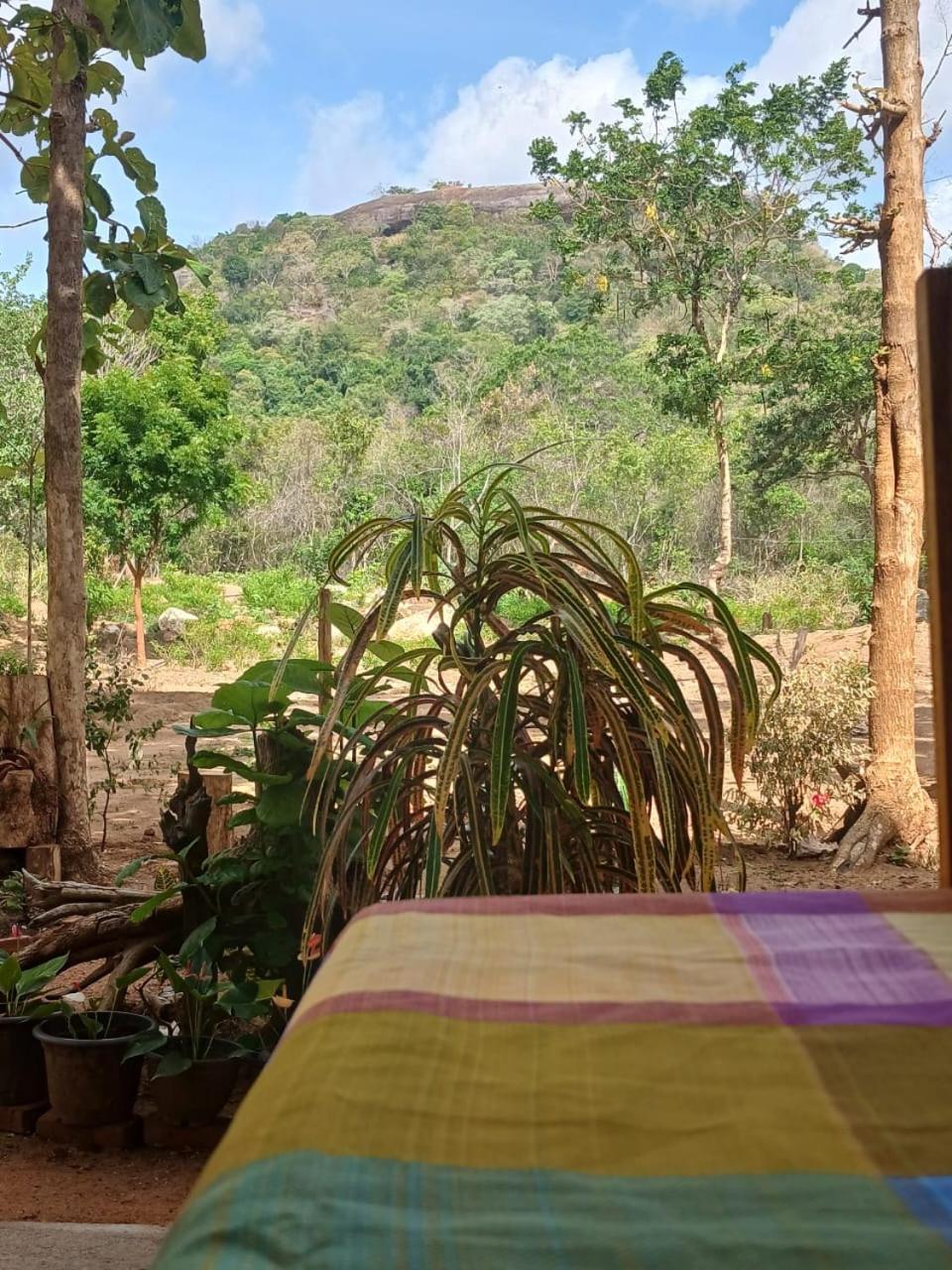 Appartement Pidurangala View Treehouse à Sigirîya Extérieur photo