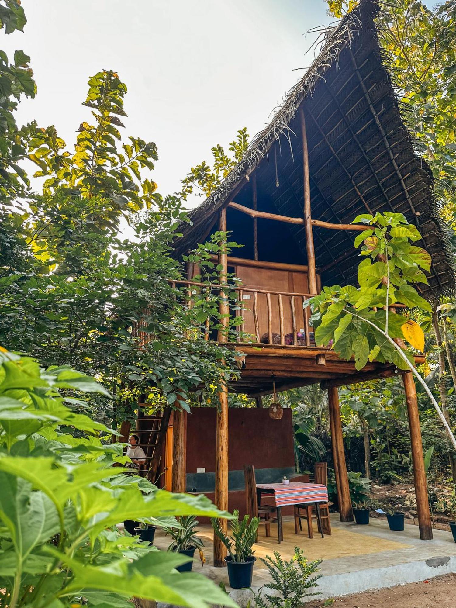 Appartement Pidurangala View Treehouse à Sigirîya Extérieur photo