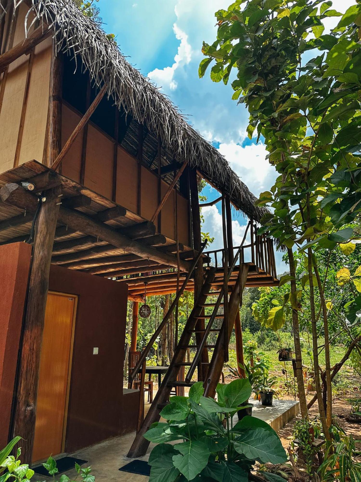 Appartement Pidurangala View Treehouse à Sigirîya Extérieur photo