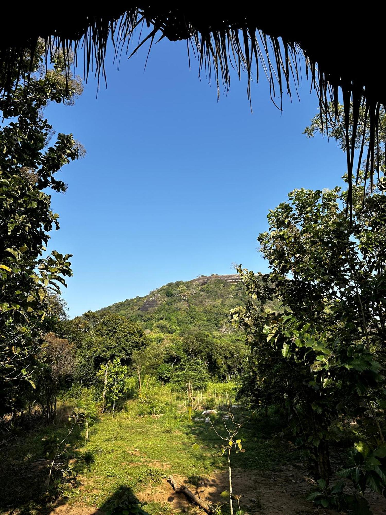 Appartement Pidurangala View Treehouse à Sigirîya Extérieur photo