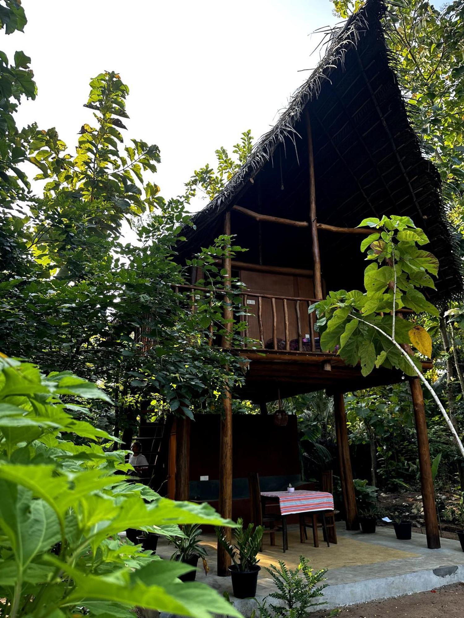 Appartement Pidurangala View Treehouse à Sigirîya Extérieur photo