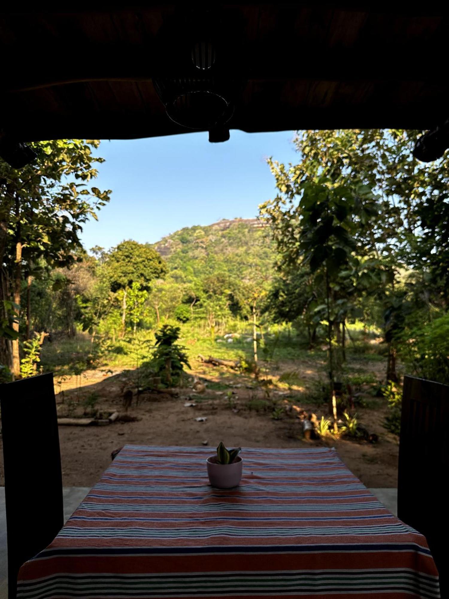 Appartement Pidurangala View Treehouse à Sigirîya Extérieur photo