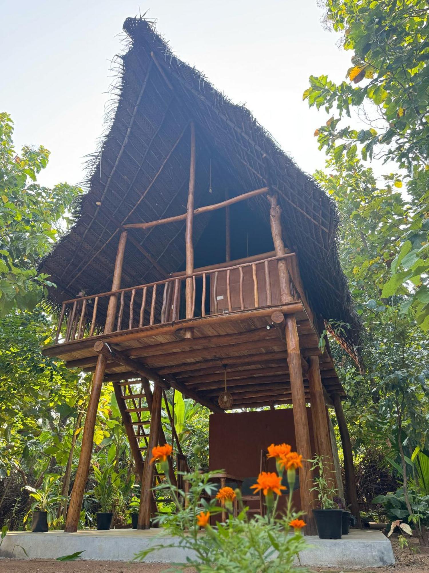 Appartement Pidurangala View Treehouse à Sigirîya Extérieur photo