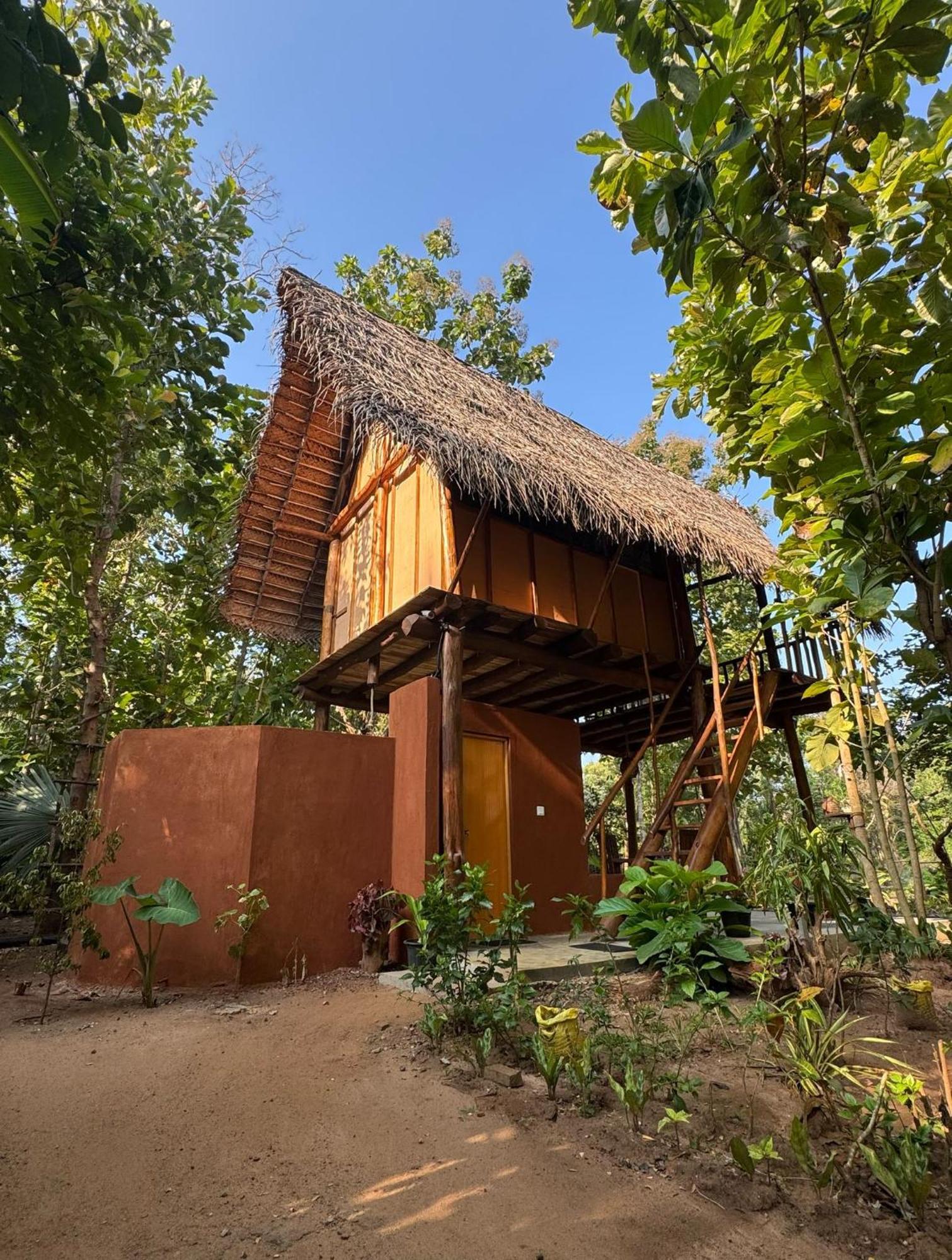 Appartement Pidurangala View Treehouse à Sigirîya Extérieur photo