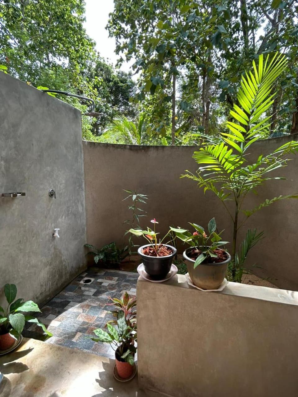 Appartement Pidurangala View Treehouse à Sigirîya Extérieur photo